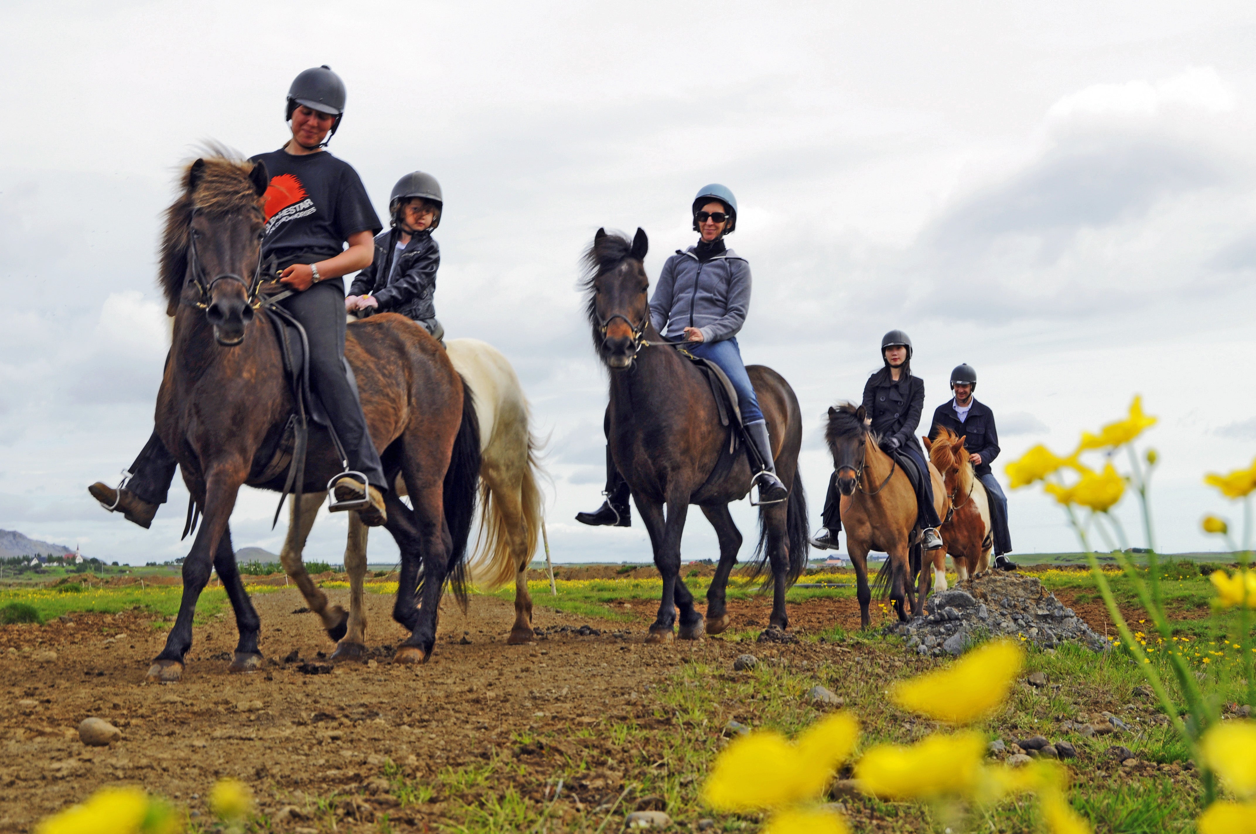 At ride på en islandsk hest er næsten en uundværlig oplevelse for at lære historien og kulturen at kende.