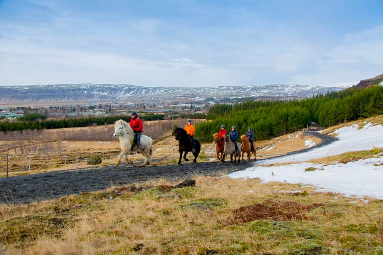 A group of riders enjoy their trek across the Icelandic countryside.