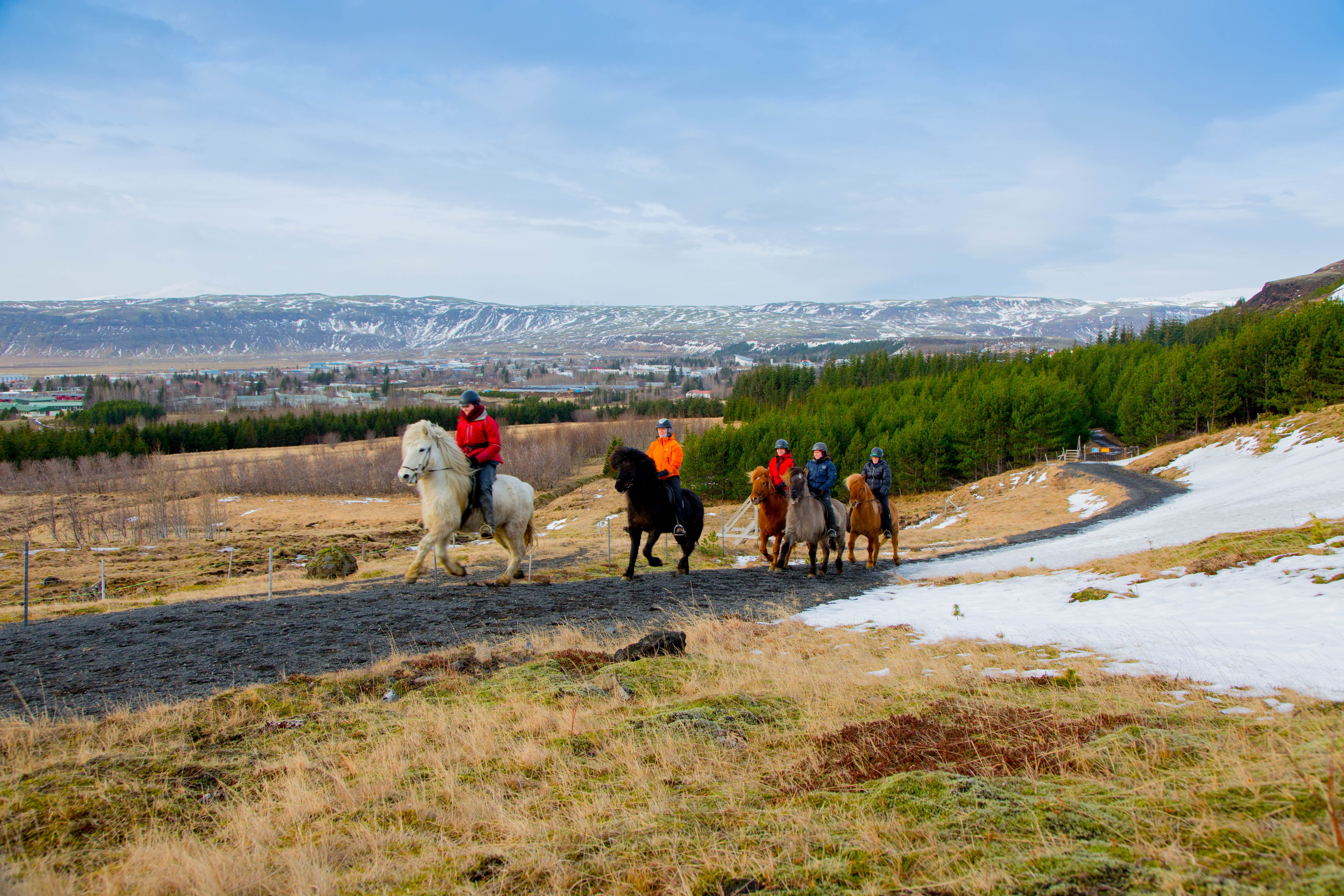 A group of riders enjoy their trek across the Icelandic countryside.