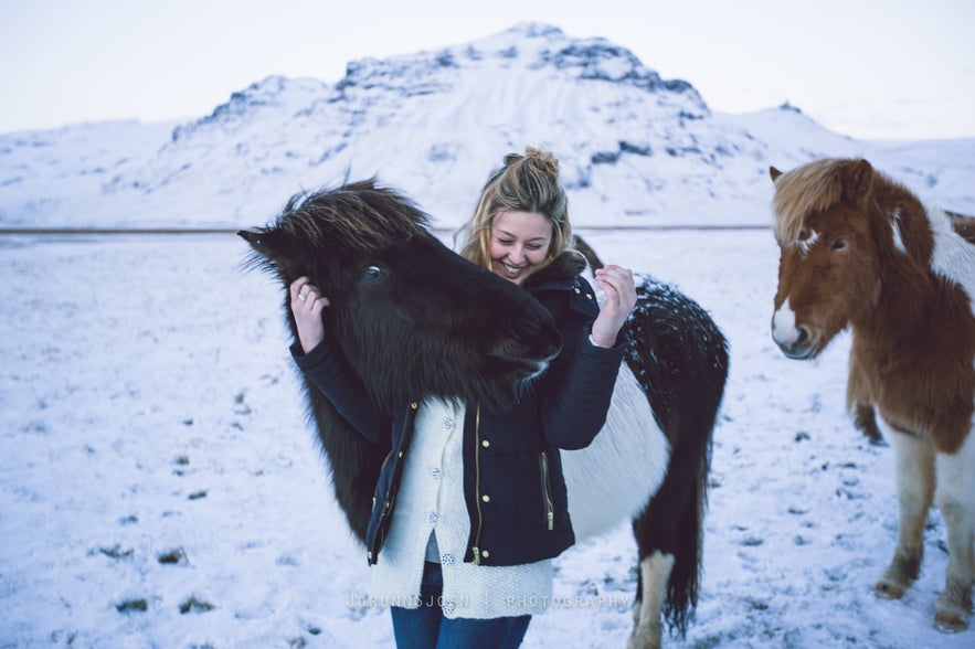 Icelandic horses - our friends