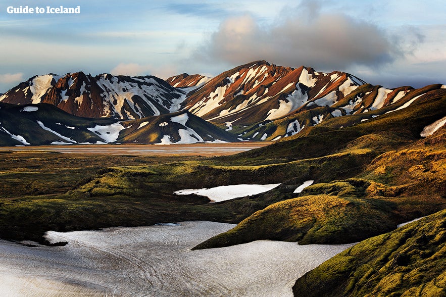 Wczesne lato w Landmannalaugar na Islandii.