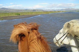 Crossing a river on the Icelandic horse in southwest Iceland.