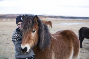 A woman cuddles up to an Icelandic horse.