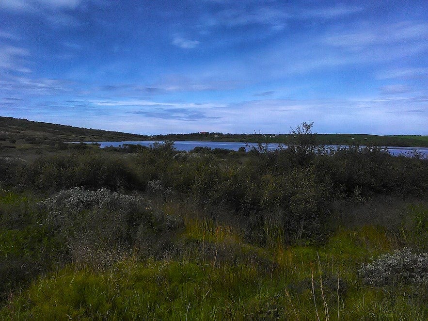 Vifilsstadavatn is a picturesque lake and park next to the Vifilsstadir nursing home, just 7.3 miles (11.8 kilometers) south of Reykjavik.