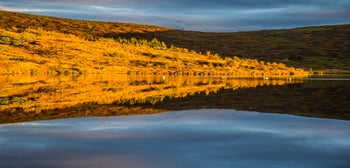Vifilsstadavatn Lake