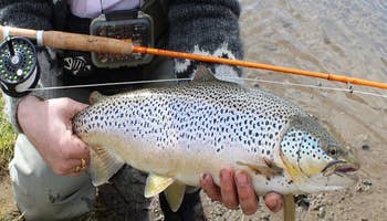 South Iceland River Fishing Tour for Sea Trout, Char, & Salmon from Reykjavik