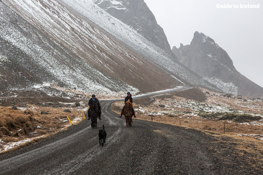 Horseback riders down a mountain road during the winter in Iceland.