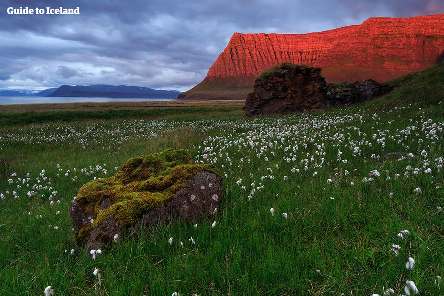 The beautiful Westfjords in Iceland in the heights of a glorious summer.