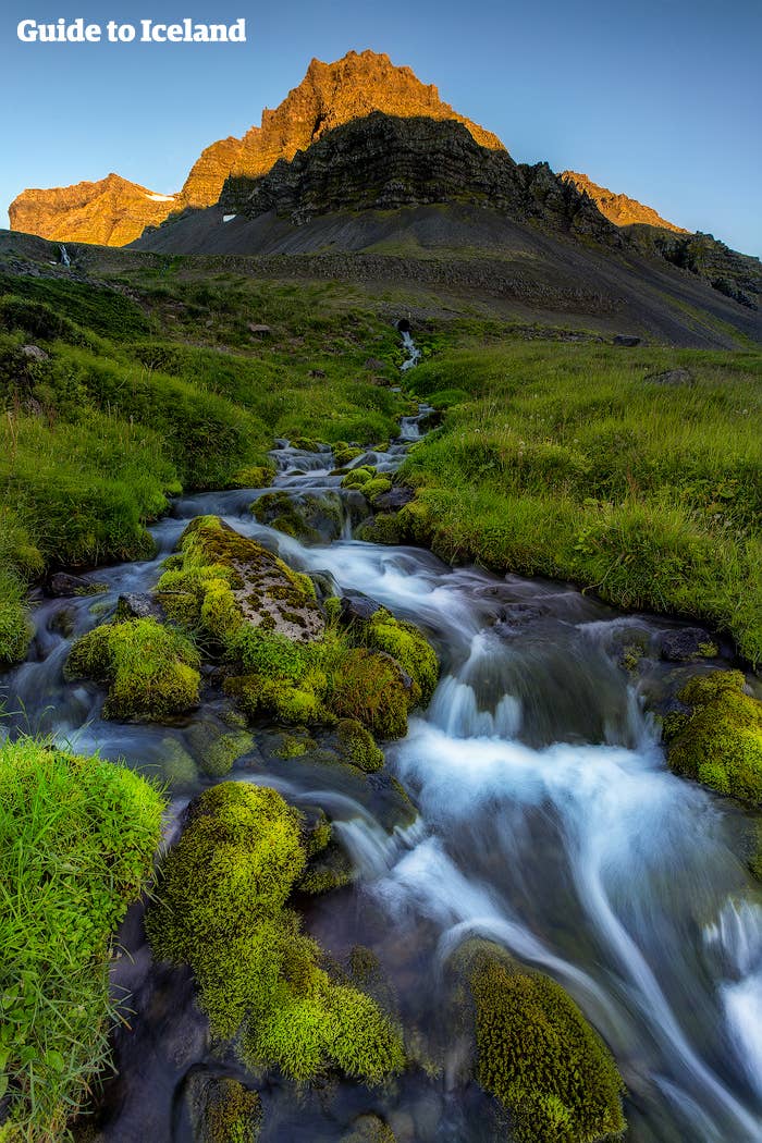 Lovely colour contrast in the Icelandic Westfjords
