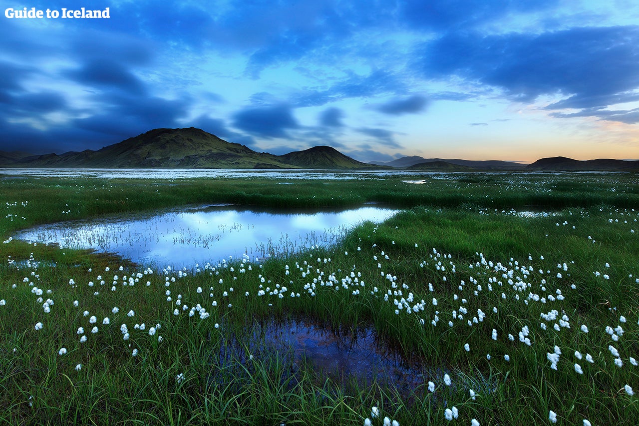 Landmannalaugar area is a mix of lakes, mountains, greenery and hot springs