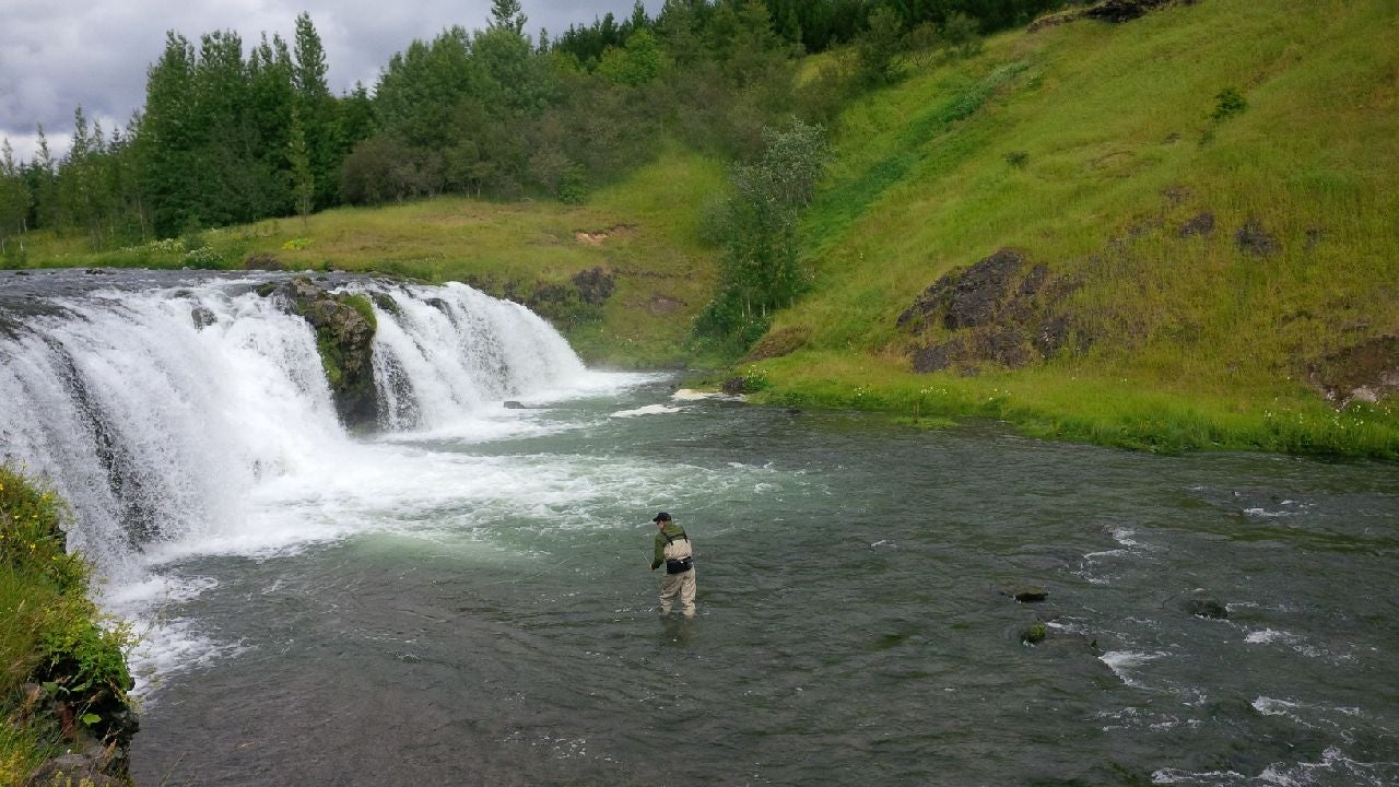 En Islande vous pouvez pêcher en mer, rivière ou rester sur la côte