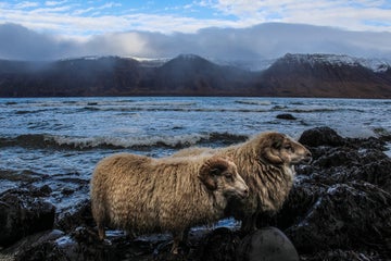 Living in the Westfjords