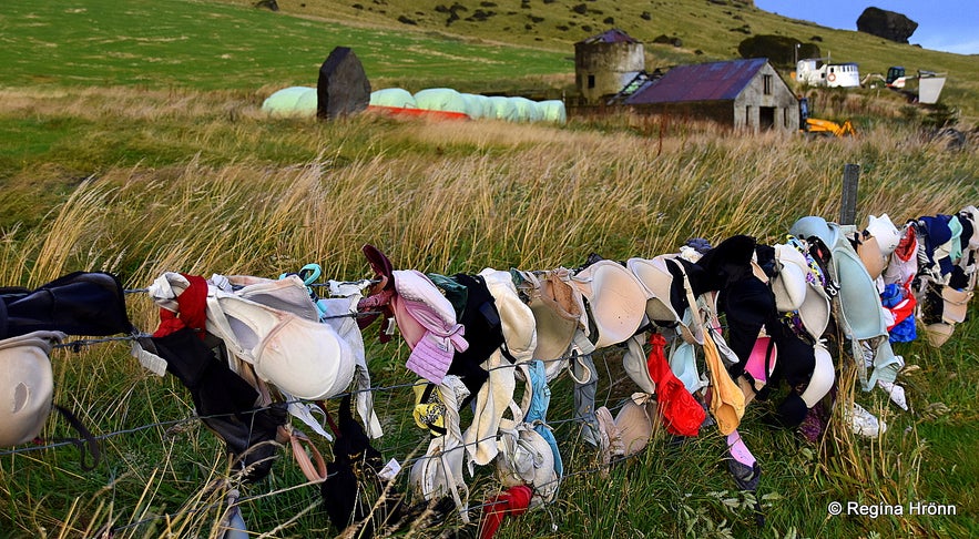 The historical Steinahellir Cave in South Iceland