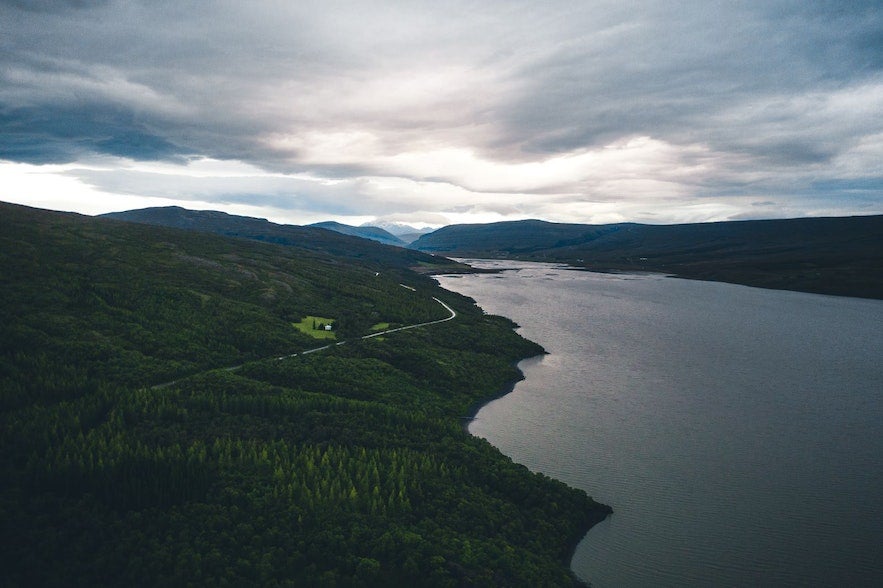 You'll travel through Hallormstadarskogur forest on the way to the Wilderness Center