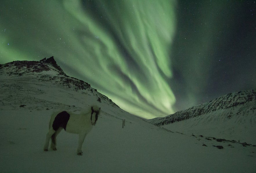 Northern lights in the Westfjords