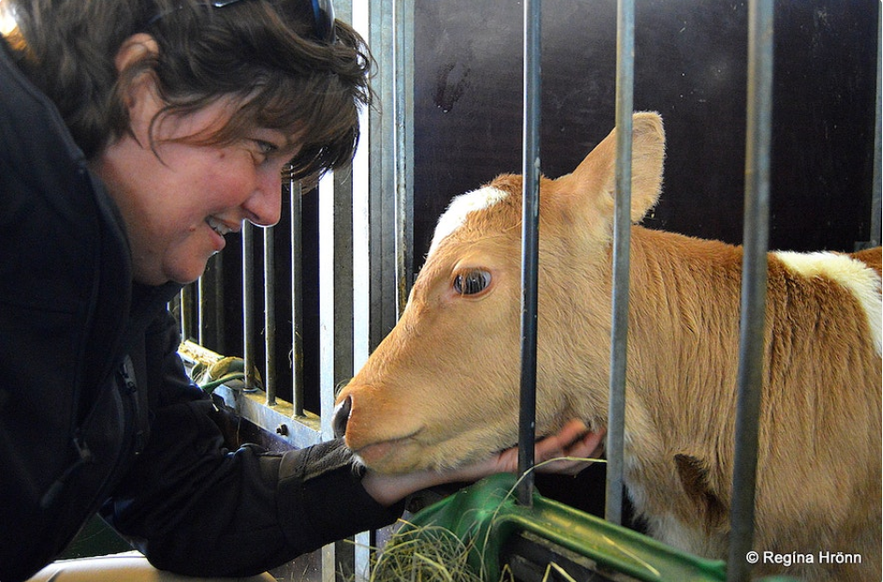 The historical Steinahellir Cave in South Iceland