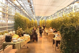 A dining room at the Fridheimar tomato farm in Iceland.