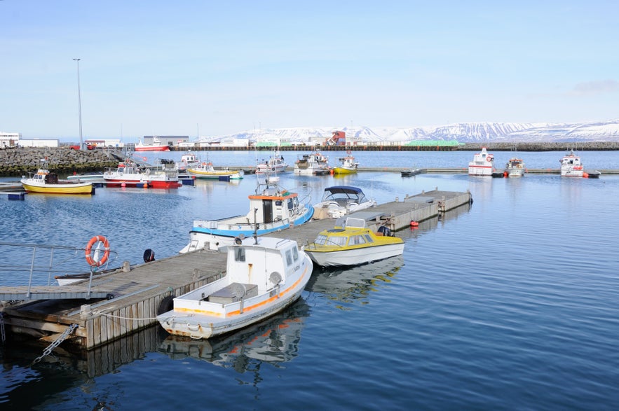 The harbor of Saudarkrokur is surrounded by boats and snow-covered mountains.