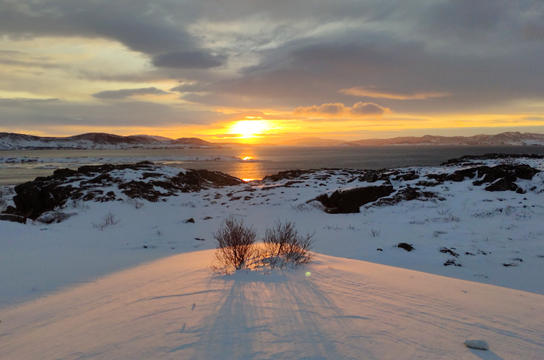 Luxurious 3.5-Hour Thingvellir National Park Private Day Tour from Reykjavik