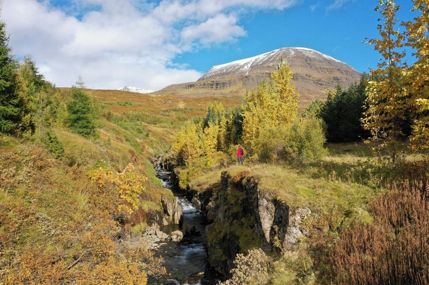 Budara river and canyon snake through the landscapes of Reydarfjordur. Budara river and canyon snake through the landscapes of Reydarfjordur.