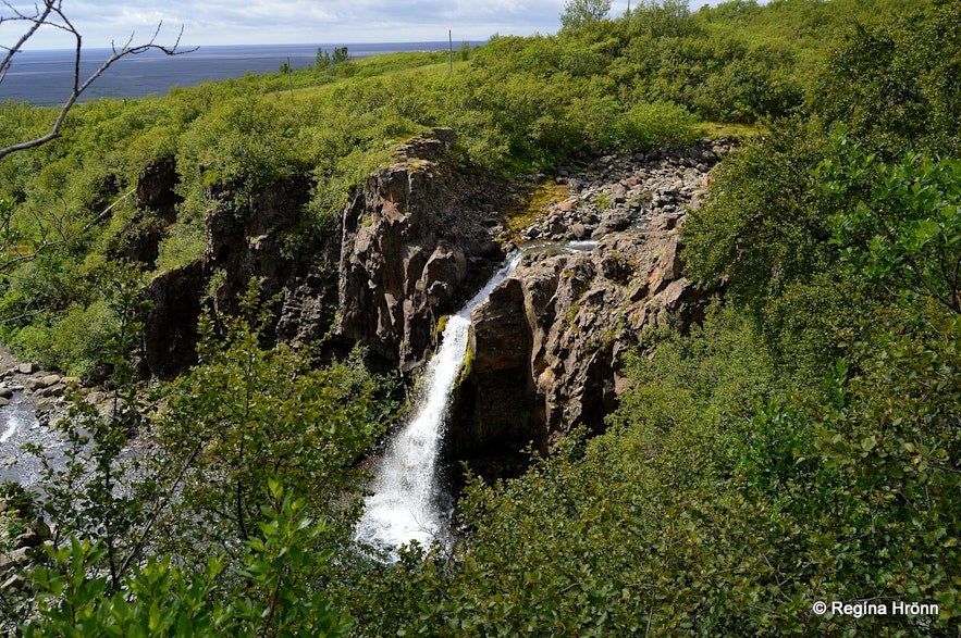 The Magnusarfoss waterfall in the Skaftafell Nature Reserve.