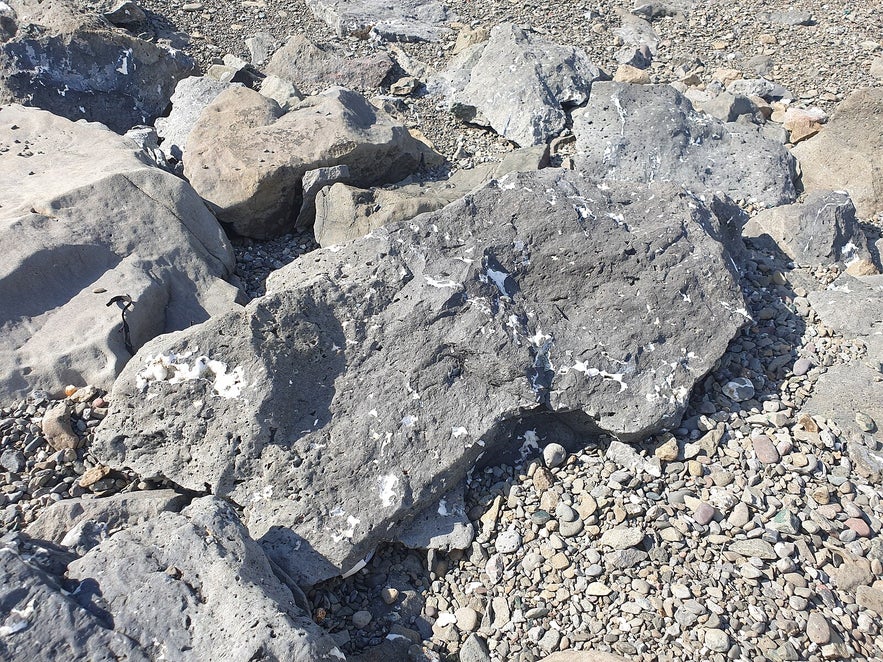 A rock at Teigarhorn natural monument and nature preserve in Iceland's Eastfjords.