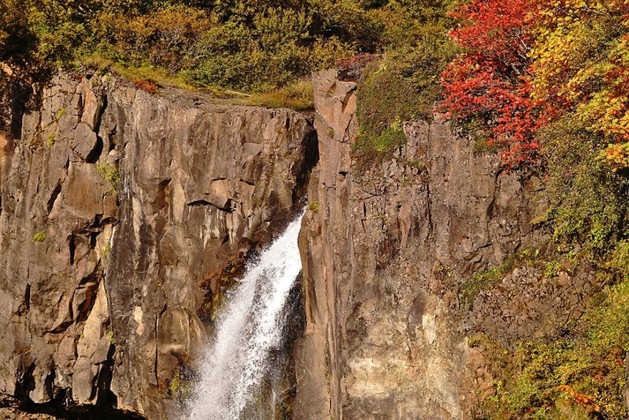 A side-on view of the Hundafoss waterfall in South Iceland, with colorful autumn foliage surrounding it.