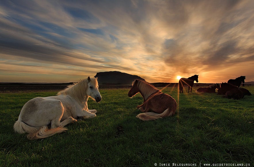 Most Unique Experiences in Iceland