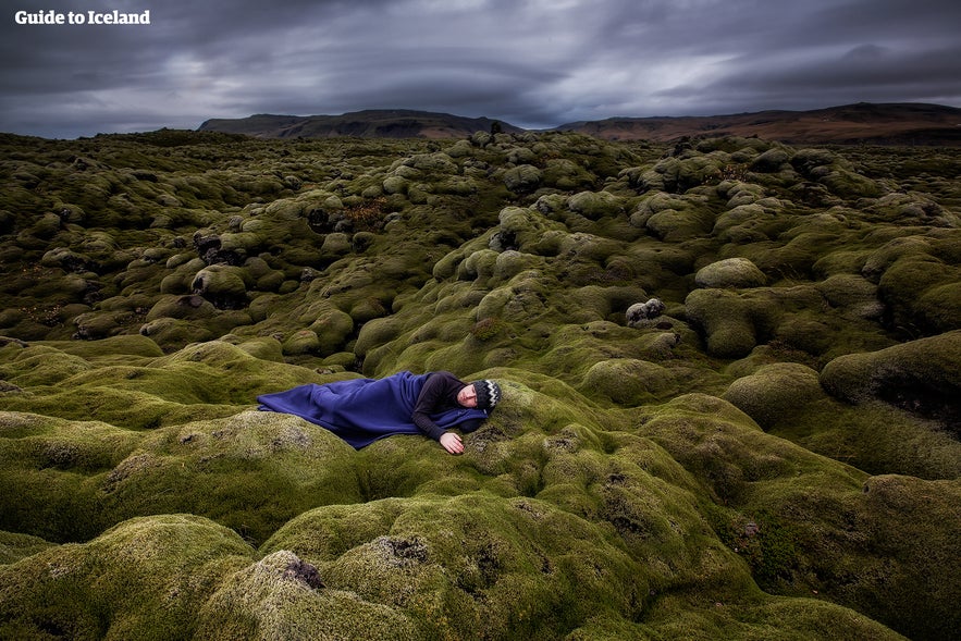 Prenez soin de la mousse islandaise qui est très fragile