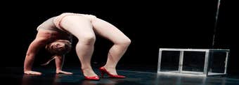 The Icelandic Circus