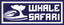 whale safari iceland whale and puffin wathcing.png
