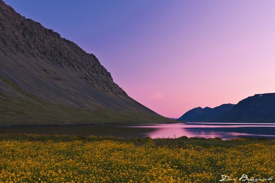 Midnight sun in Iceland