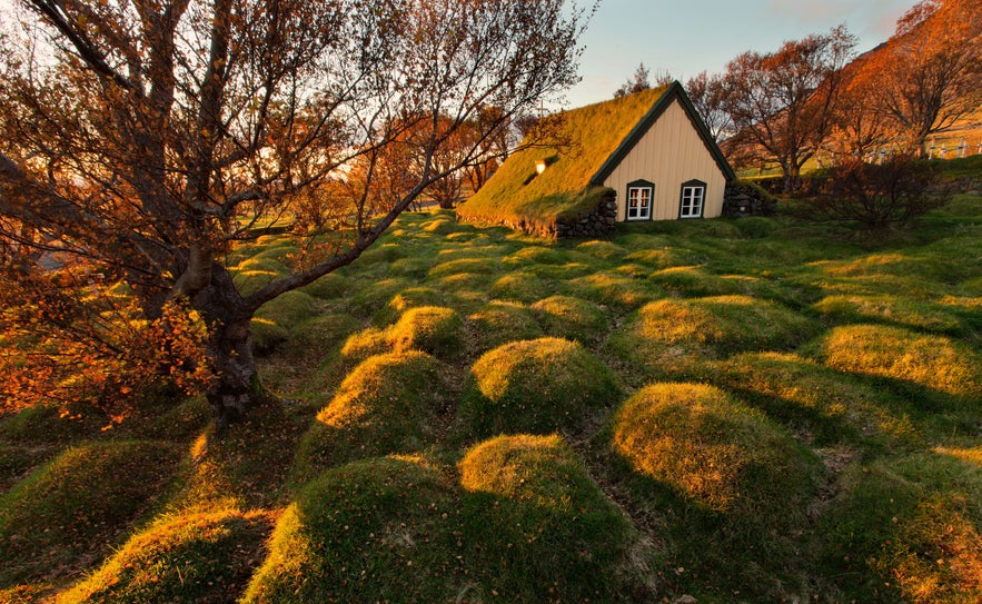 Ecoturismo en Islandia