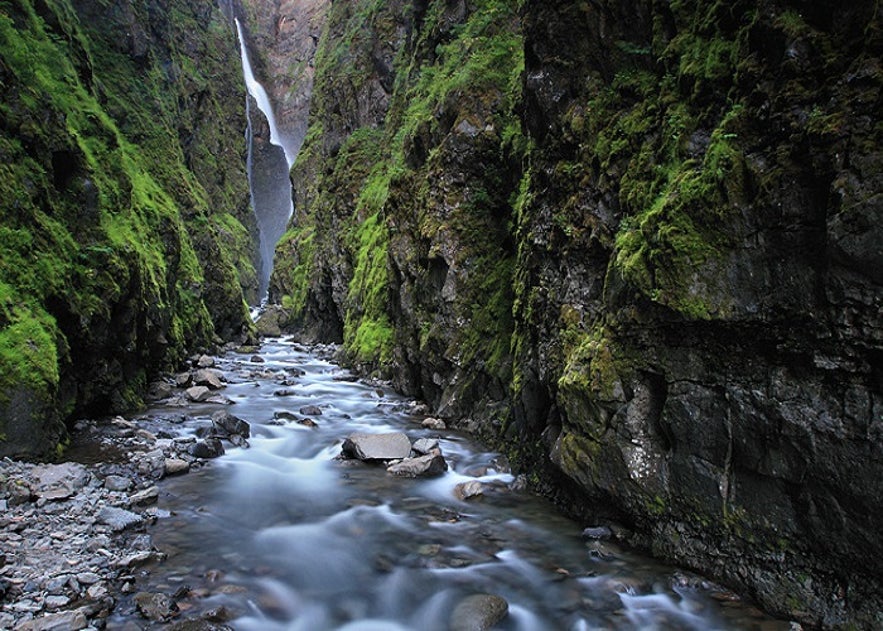 The lush Glymur waterfall in Iceland