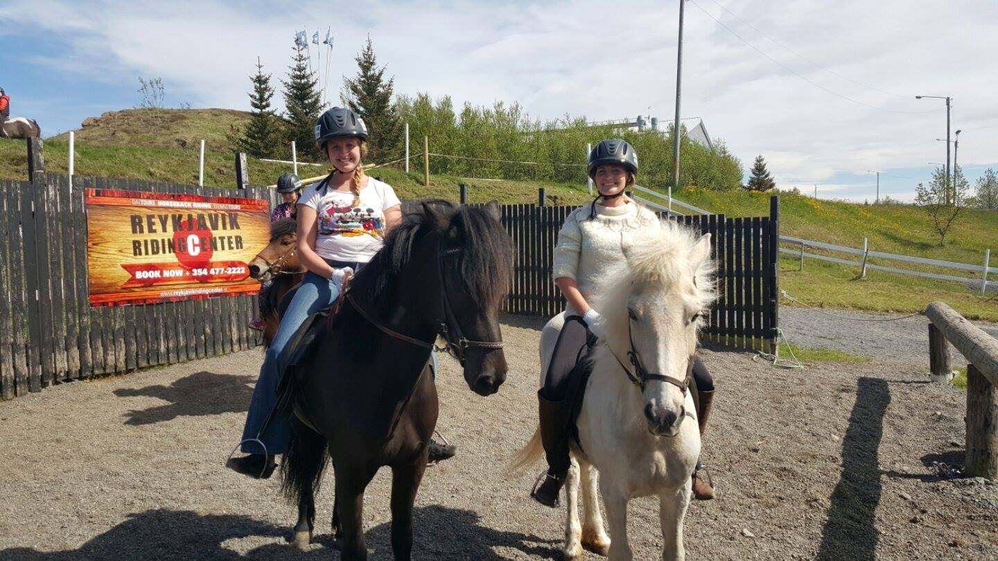 Half day tour horseback riding in Reykjavík