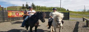Half day tour horseback riding in Reykjavík