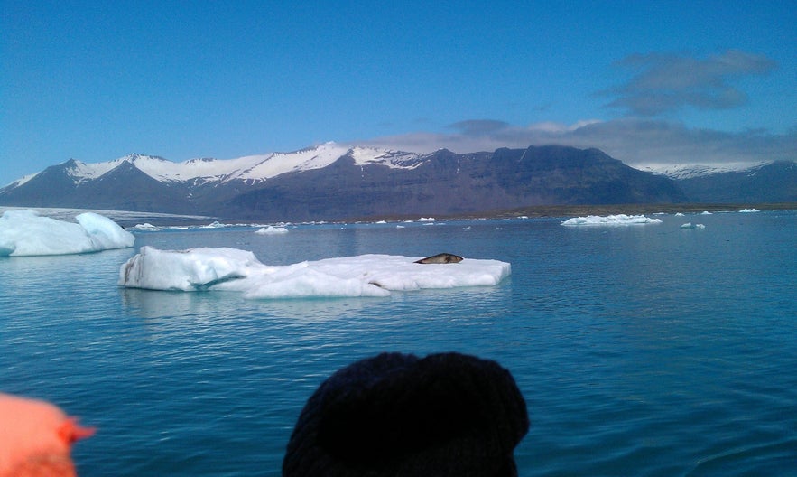 Mi Islandia - Jökulsárlón