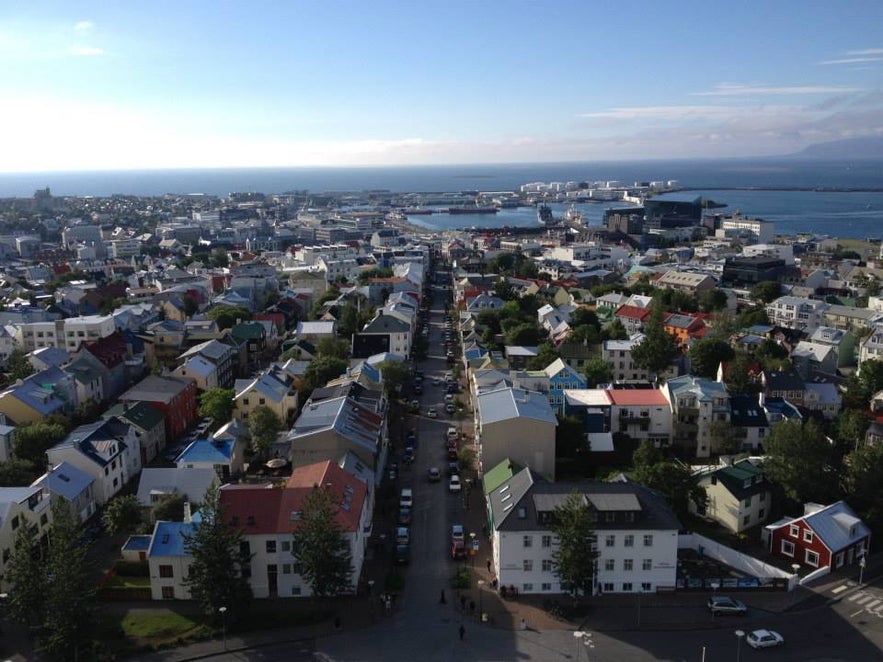 Por qué, siendo una criatura de origen tropical, vivo en Islandia