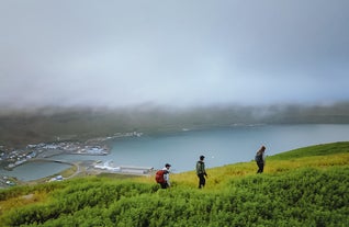 Mensen die wandelen in de weelderige groene heuvels boven Seydisfjordur.