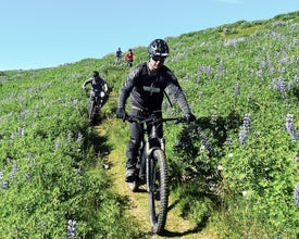 Husaviks cykelstier er rige på grønne omgivelser og tilbyder en forfriskende atmosfære.