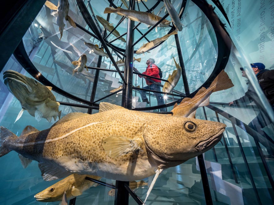 There are interesting exhibits at the Reykjavik Maritime Museum