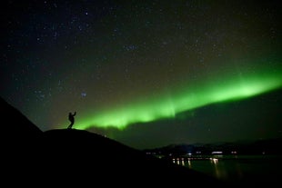 4 uur durende jacht met gids op het noorderlicht in een minibus met transfer vanuit Reykjavik, warme chocolademelk & foto's