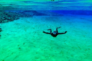 A free-diver in the 'real Blue Lagoon' of Iceland.