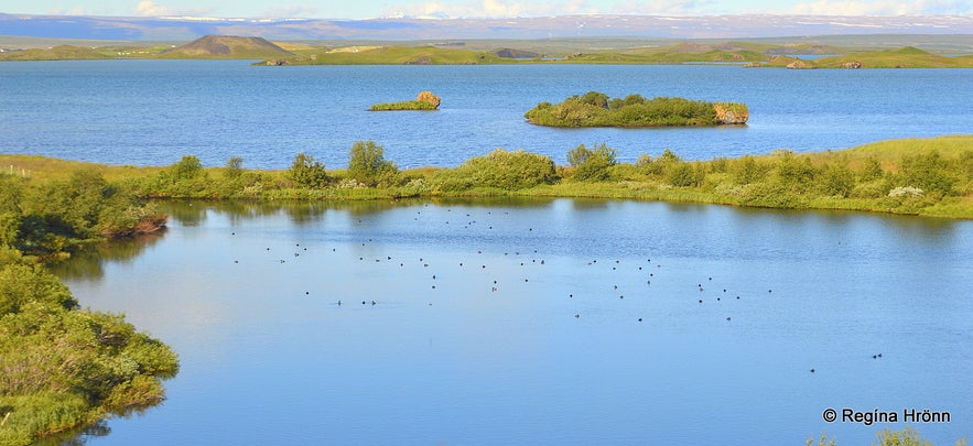 Nonnahús and Nonni - the Honorary Citizen of Akureyri the Capital City of North-Iceland