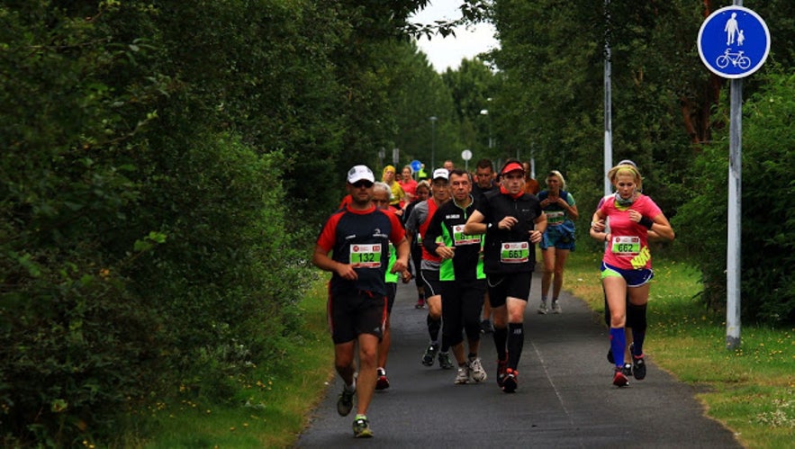 Reykjavik Marathon 2015 in Reykjavik ,video and photos 