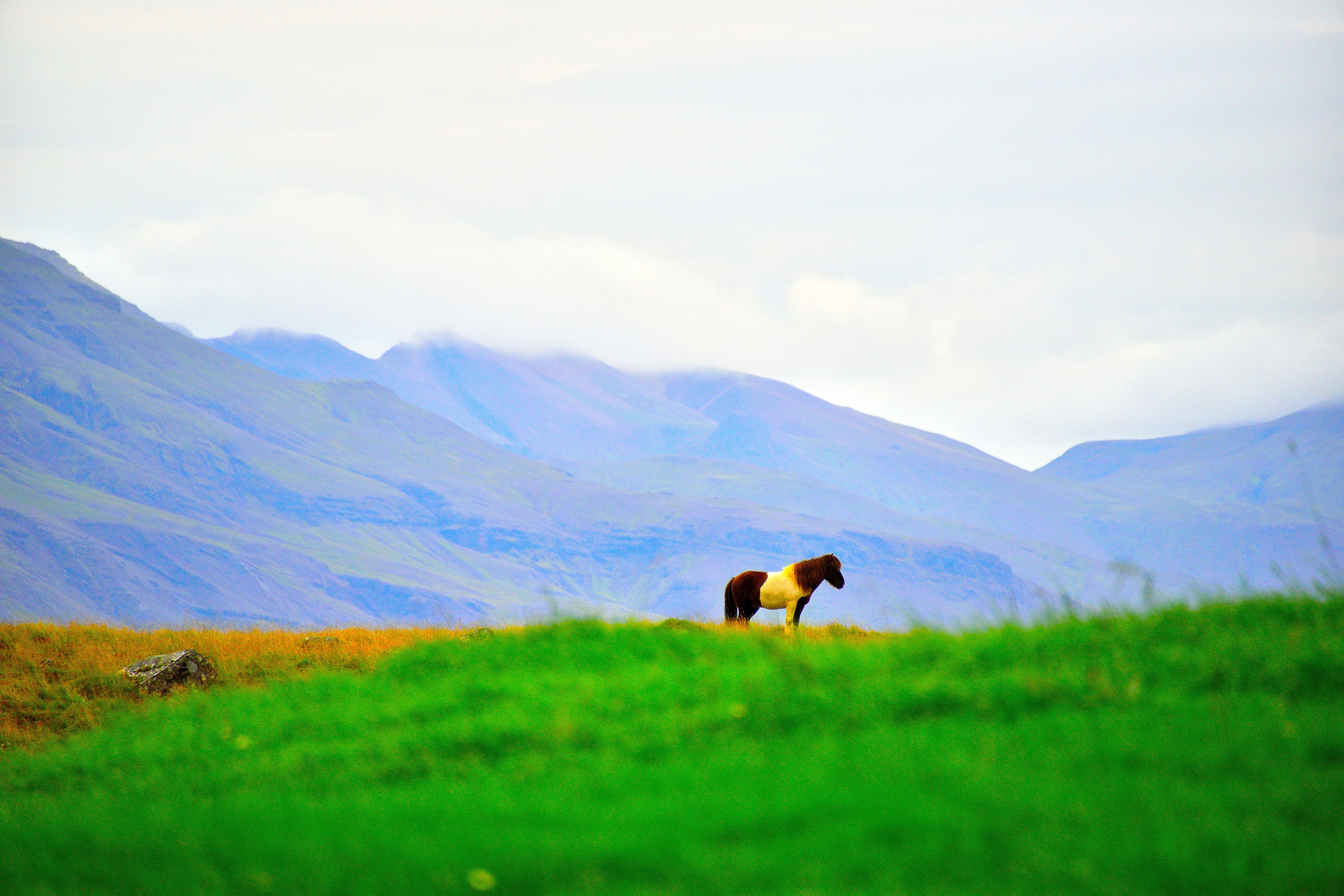 ヴィーズエイ島でピクニック！