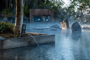 The Forest Lagoon's geothermal waters can relax the mind and rejuvenate the body.