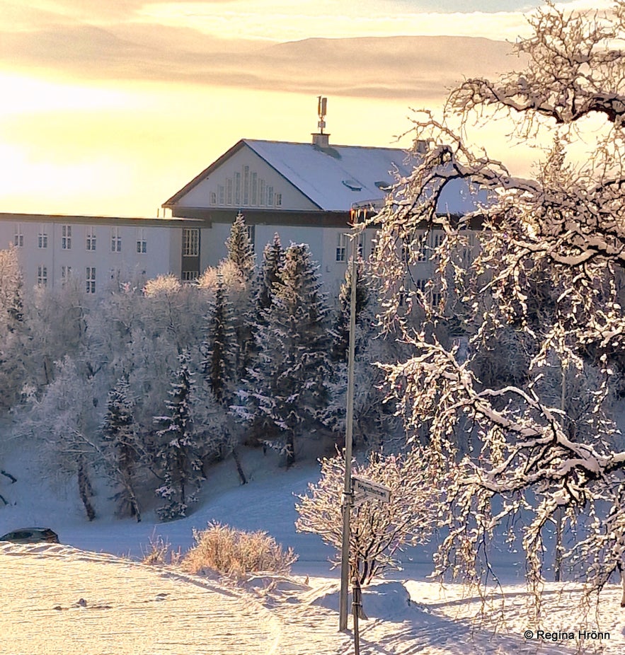 A Winter Visit to Akureyri - the Capital of North Iceland