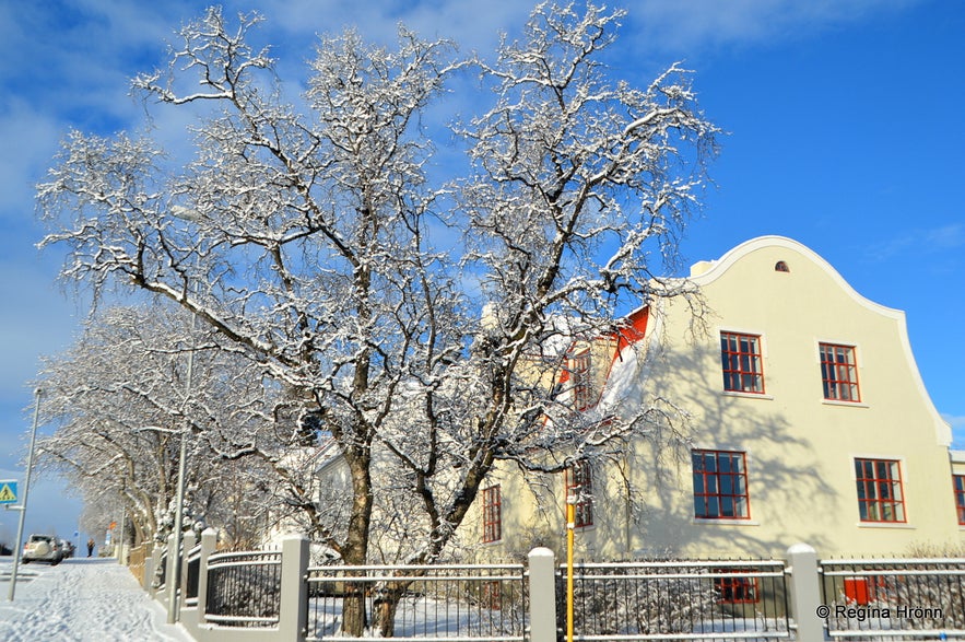 A Winter Visit to Akureyri - the Capital of North Iceland