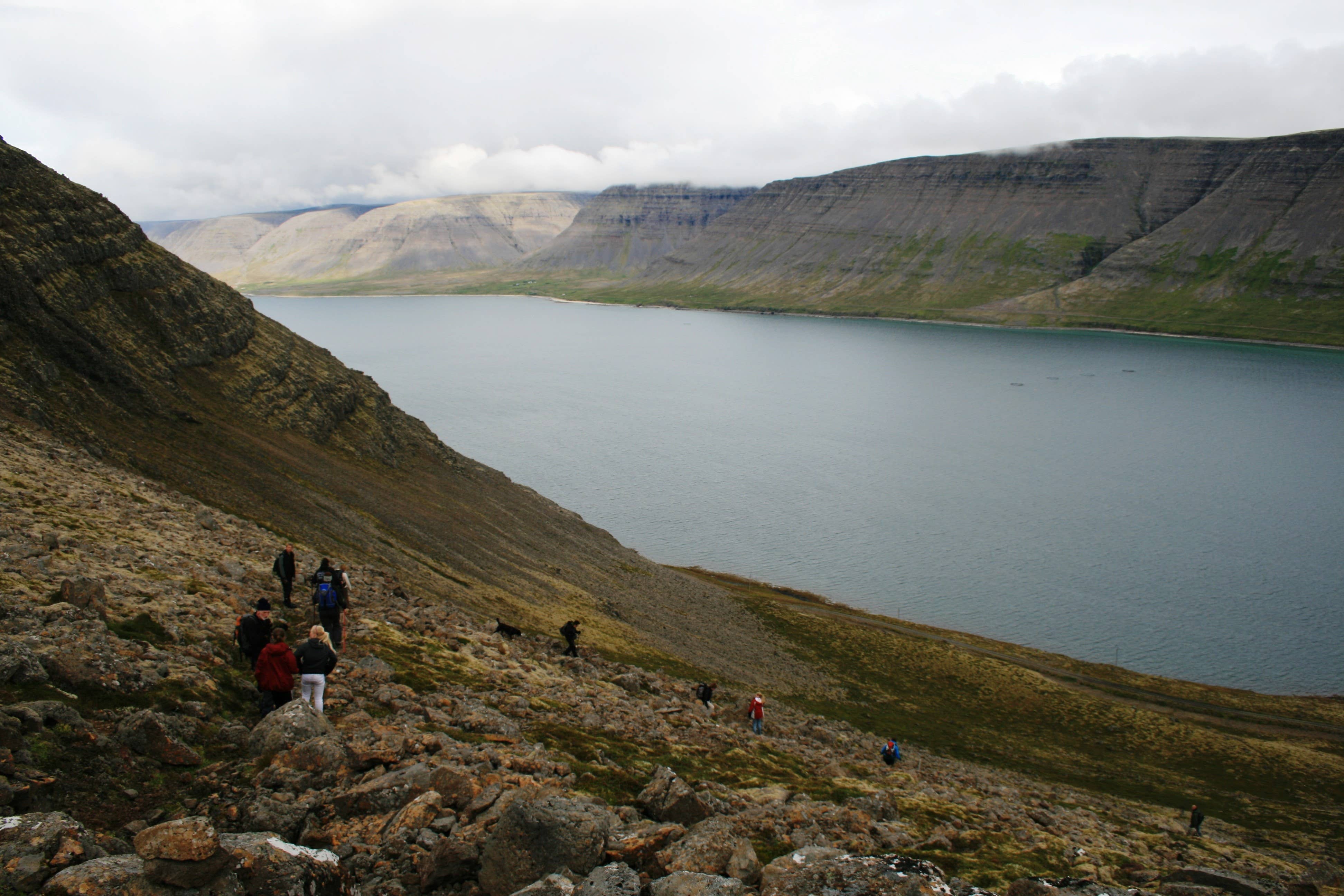 Når du vandrer mellem de to vestlige fjorde Patreksfjörður og Tálknafjörður, er du garanteret enestående udsigter til stejle bjerge, der rejser sig over havet.